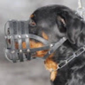 Meet your Posher, Zack